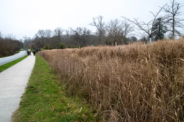 Parc de Majolan de Blanquefort (7).